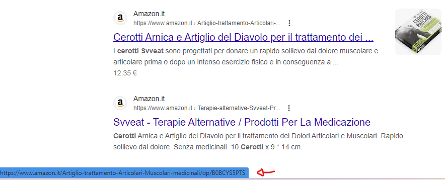 Amazon Canonical URL